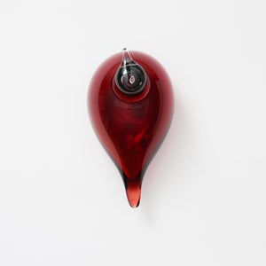 Birds Little Tern クランベリー 1721