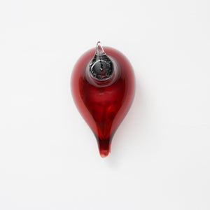 Birds Little Tern クランベリー 1722