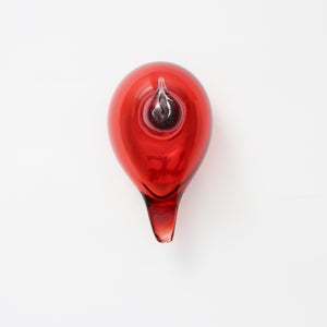 Birds Little Tern クランベリー 1723