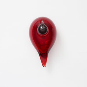 Birds Little Tern クランベリー 1725