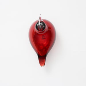 Birds Little Tern クランベリー 1729