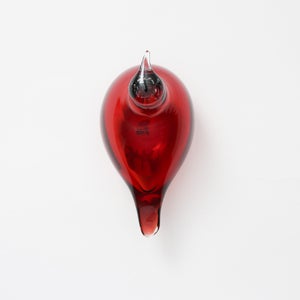 Birds Little Tern クランベリー 1732