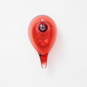 Birds Little Tern クランベリー 1733