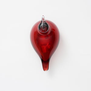 Birds Little Tern クランベリー 1737