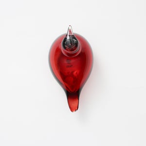 Birds Little Tern クランベリー 1738