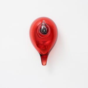 Birds Little Tern クランベリー 1741