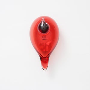 Birds Little Tern クランベリー 1746