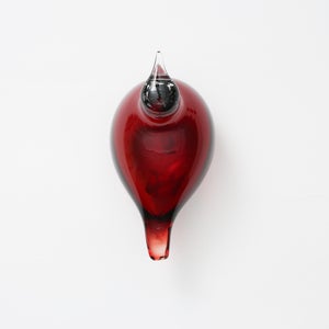 Birds Little Tern クランベリー 1752