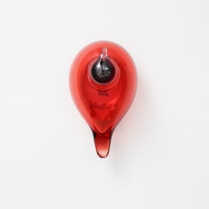 Birds Little Tern クランベリー 1753