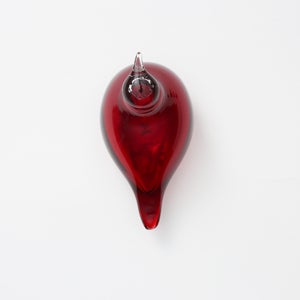 Birds Little Tern クランベリー 1754