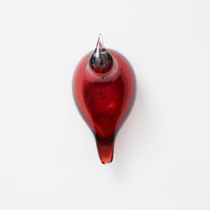 Birds Little Tern クランベリー 1755