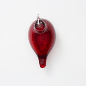 Birds Little Tern クランベリー 1756