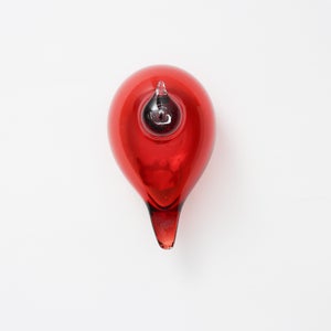 Birds Little Tern クランベリー 1757