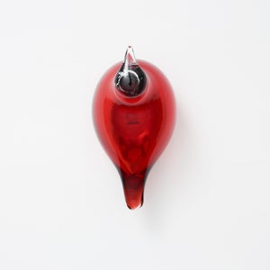 Birds Little Tern クランベリー 1762