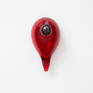 Birds Little Tern クランベリー 1764