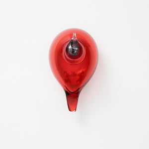 Birds Little Tern クランベリー 1765