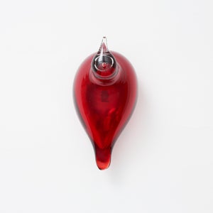 Birds Little Tern クランベリー 1767