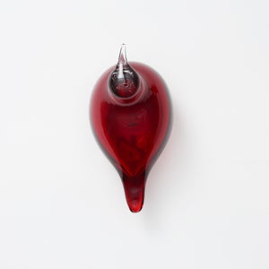 Birds Little Tern クランベリー 1768