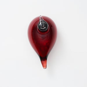 Birds Little Tern クランベリー 1769