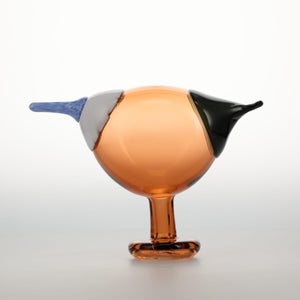 Birds Blue Magpie セビリアオレンジ 0001