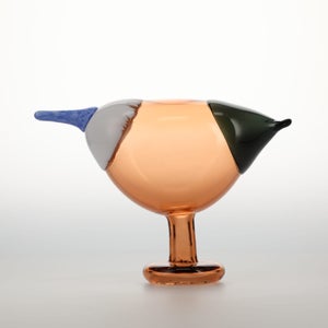 Birds Blue Magpie セビリアオレンジ 0002