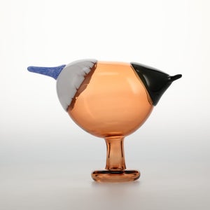 Birds Blue Magpie セビリアオレンジ 0003