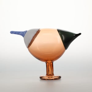 Birds Blue Magpie セビリアオレンジ 0004