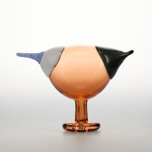 Birds Blue Magpie セビリアオレンジ 0005