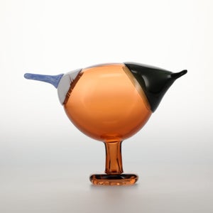 Birds Blue Magpie セビリアオレンジ 0008