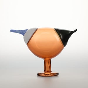 Birds Blue Magpie セビリアオレンジ 0009