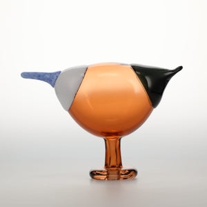 Birds Blue Magpie セビリアオレンジ 0010