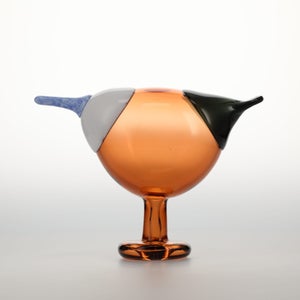 Birds Blue Magpie セビリアオレンジ 0011