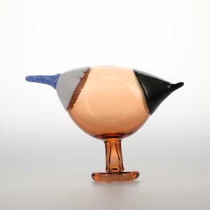 Birds Blue Magpie セビリアオレンジ 0012