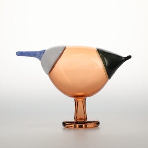 Birds Blue Magpie セビリアオレンジ 0013