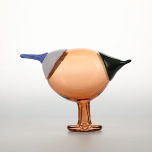 Birds Blue Magpie セビリアオレンジ 0014