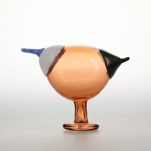 Birds Blue Magpie セビリアオレンジ 0015