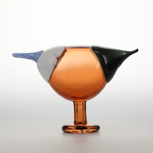 Birds Blue Magpie セビリアオレンジ 0016