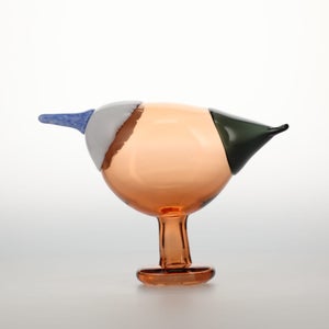 Birds Blue Magpie セビリアオレンジ 0017