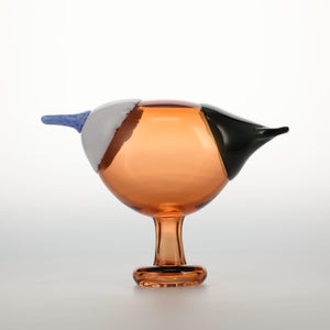 Birds Blue Magpie セビリアオレンジ 0018