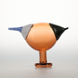 Birds Blue Magpie セビリアオレンジ 0019