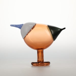 Birds Blue Magpie セビリアオレンジ 0020