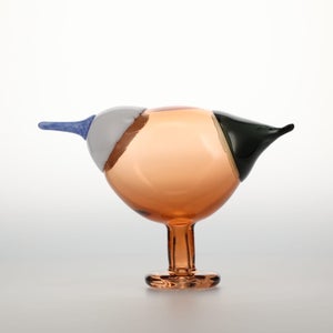 Birds Blue Magpie セビリアオレンジ 0021