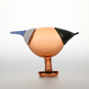 Birds Blue Magpie セビリアオレンジ 0023