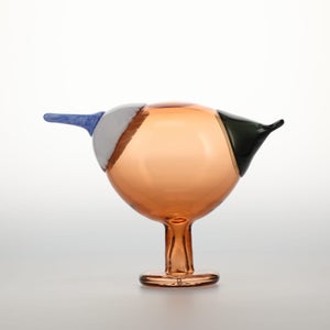 Birds Blue Magpie セビリアオレンジ 0025