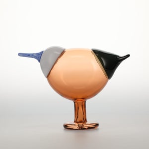 Birds Blue Magpie セビリアオレンジ 0026