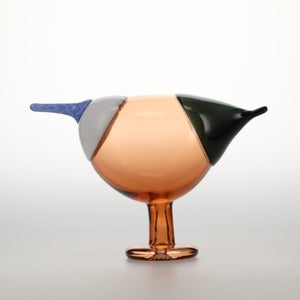 Birds Blue Magpie セビリアオレンジ 0027