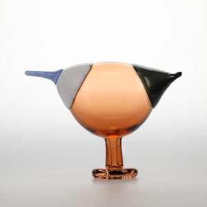 Birds Blue Magpie セビリアオレンジ 0028