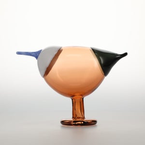 Birds Blue Magpie セビリアオレンジ 0029