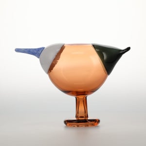 Birds Blue Magpie セビリアオレンジ 0030