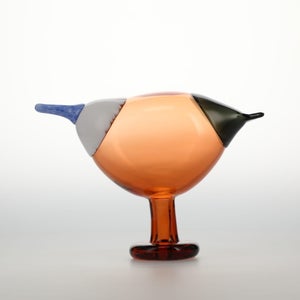 Birds Blue Magpie セビリアオレンジ 0031